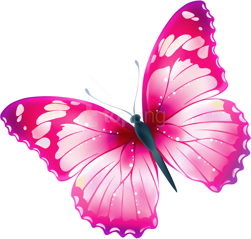 Featured image of post Transparent Background Colorful Butterflies Png - Monarch butterfly clipart transparent background pencil.