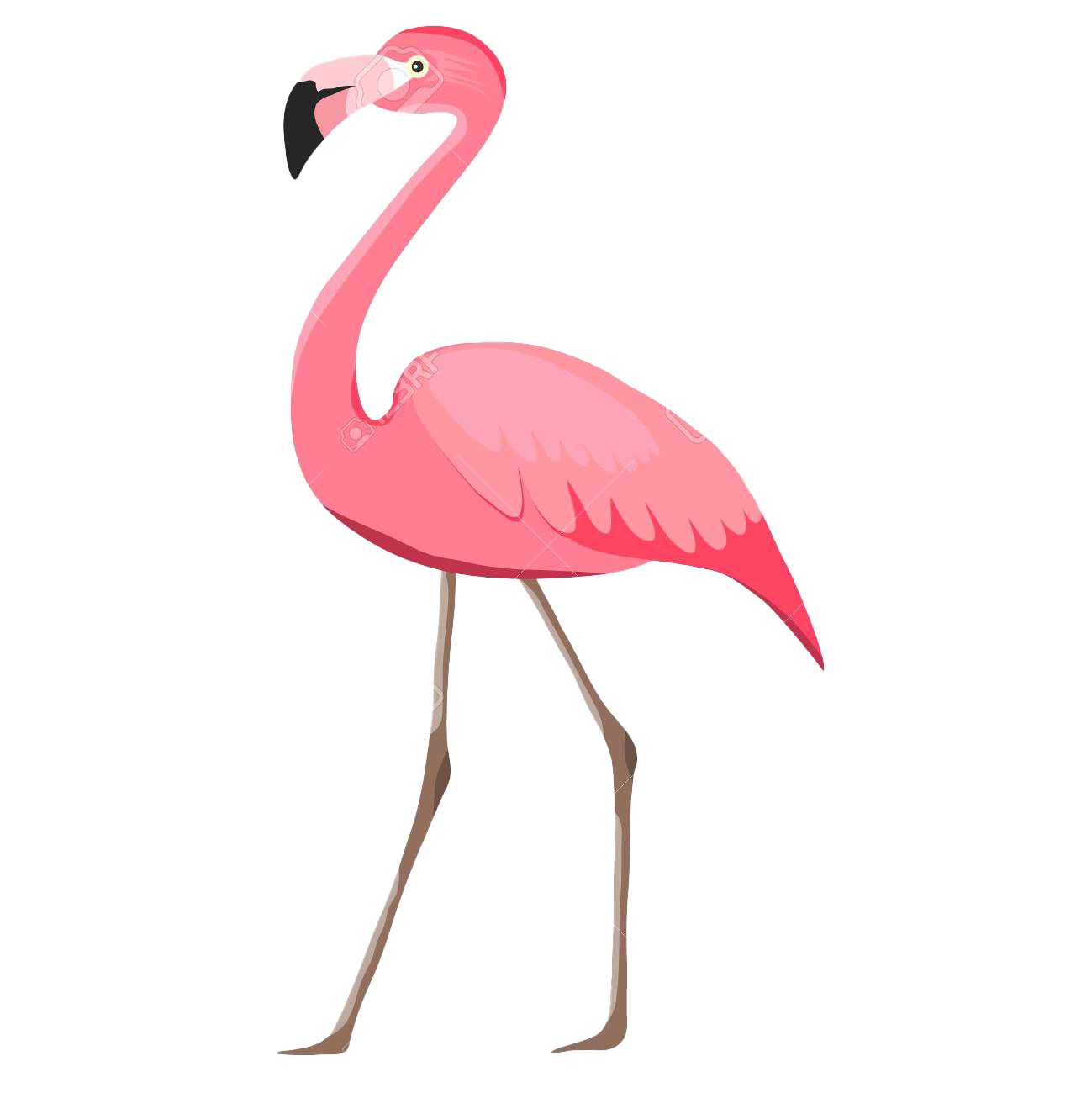 Flamingo Png Pic Background Png Play
