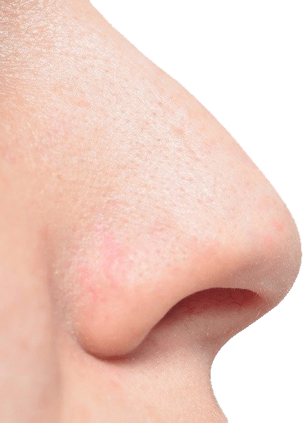 Nose Png Images Transparent Background Png Play Nose stock vectors, clipart and illustrations. png play