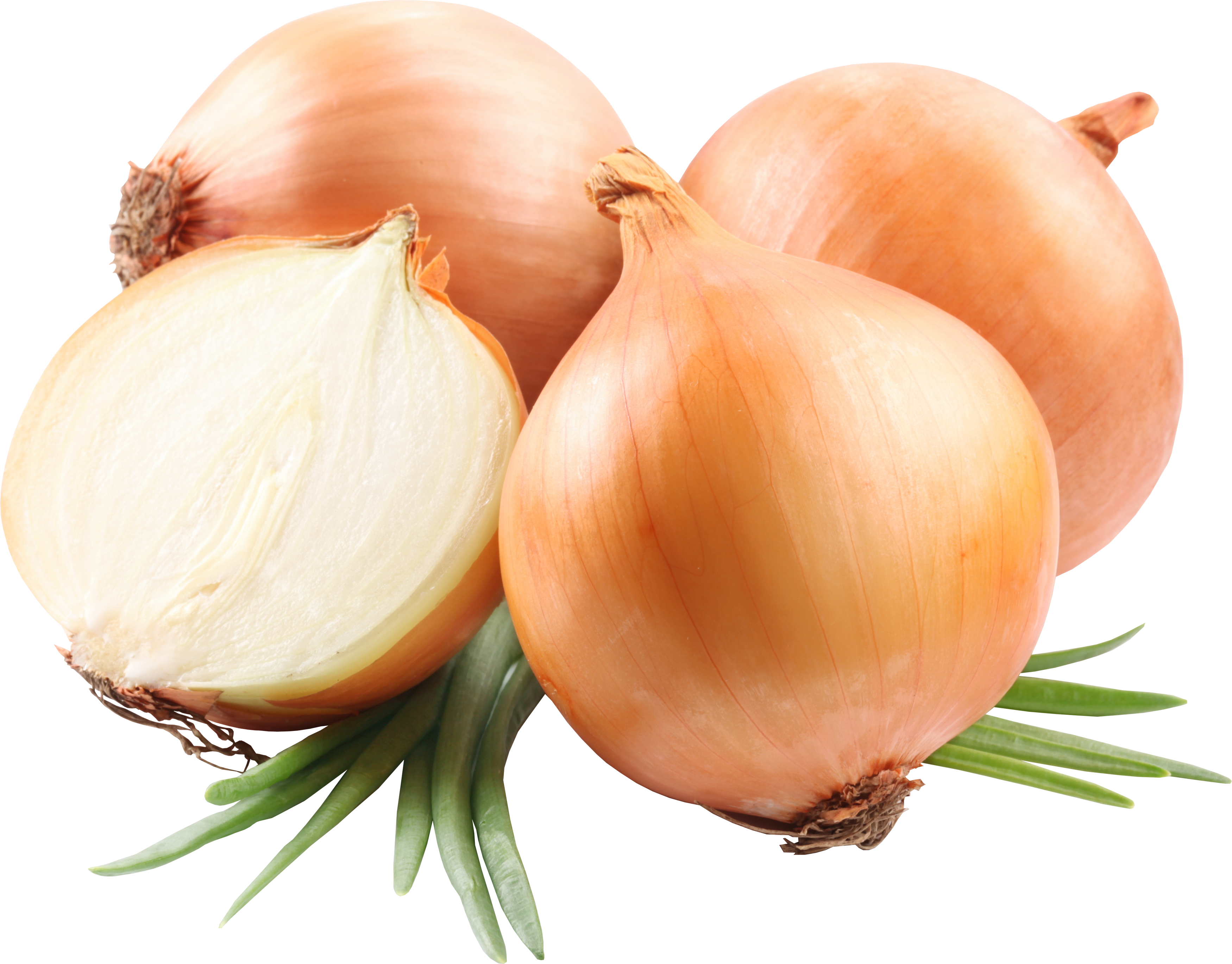 Featured image of post Onion Images Hd Png : 6,529 transparent png illustrations and cipart matching onion.