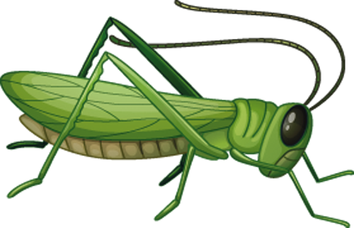 Animated Grasshopper Kualitas HD PNG
