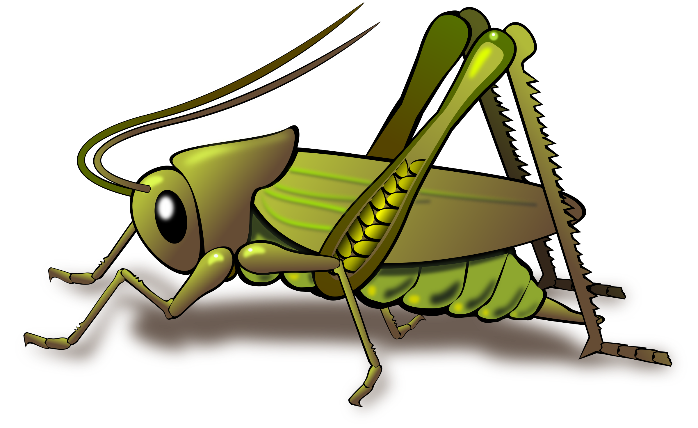 Animated File transparan belalang PNG