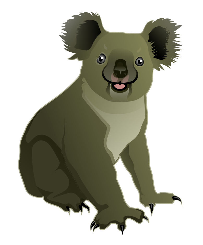 Geanimeerde koala Download gratis PNG