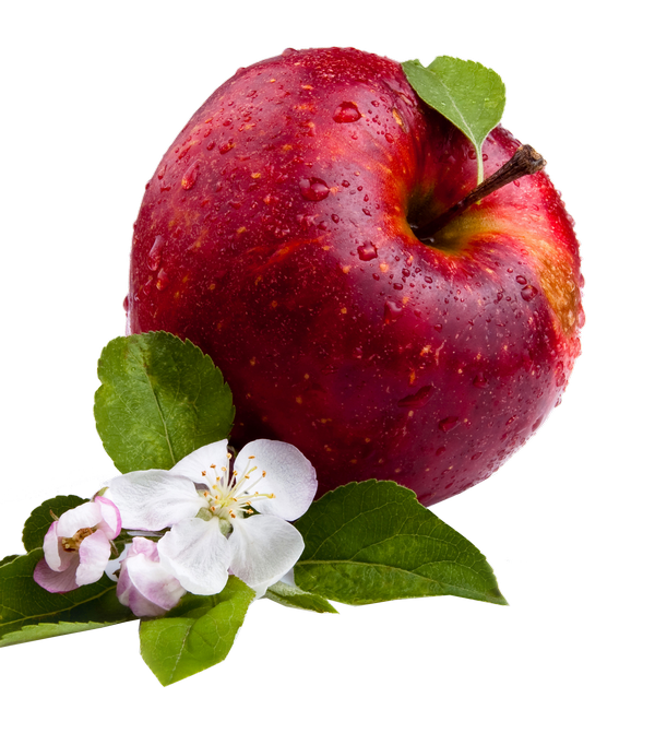 Apple PNG immagini royalty-free