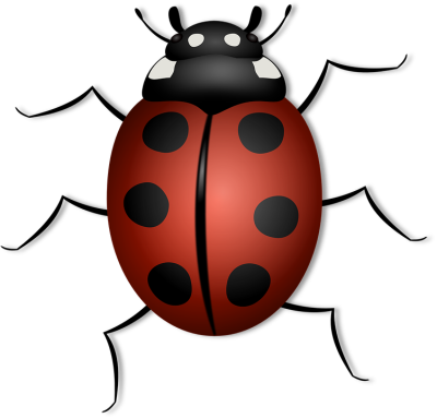 Käfer Bug Transparenter Hintergrund