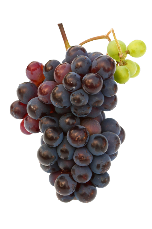 Black Grapes PNG Free Commercial Use Image