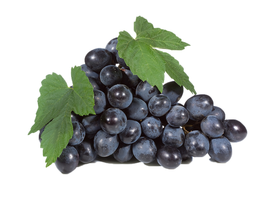 Black Grapes PNG Royalty-Free Image