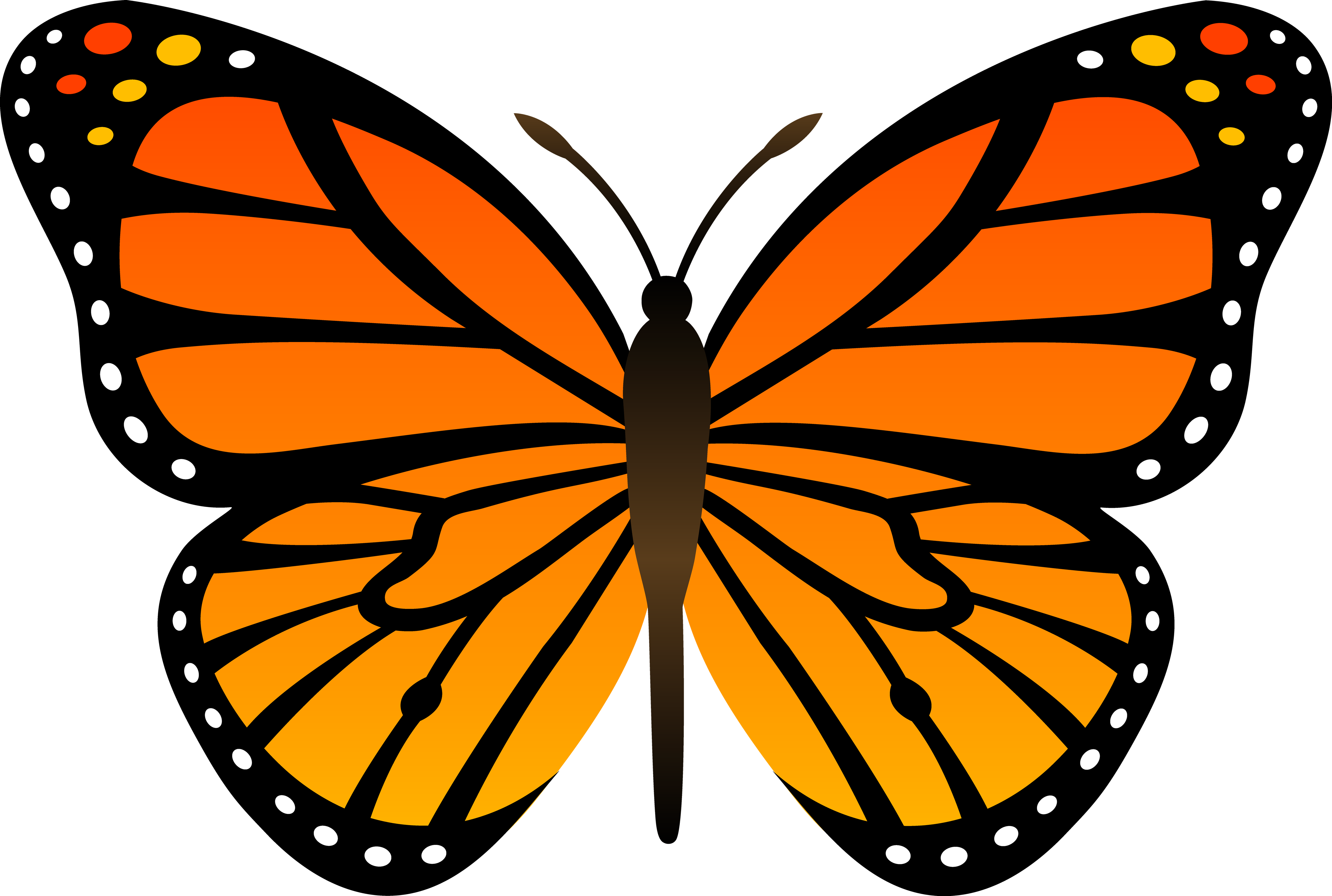 Butterfly PNG-achtergrondbestand