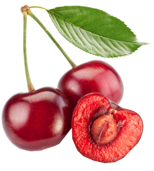 Cherry PNG Free Commercial Use Image