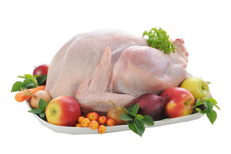 Chicken PNG Free Commercial Use Images