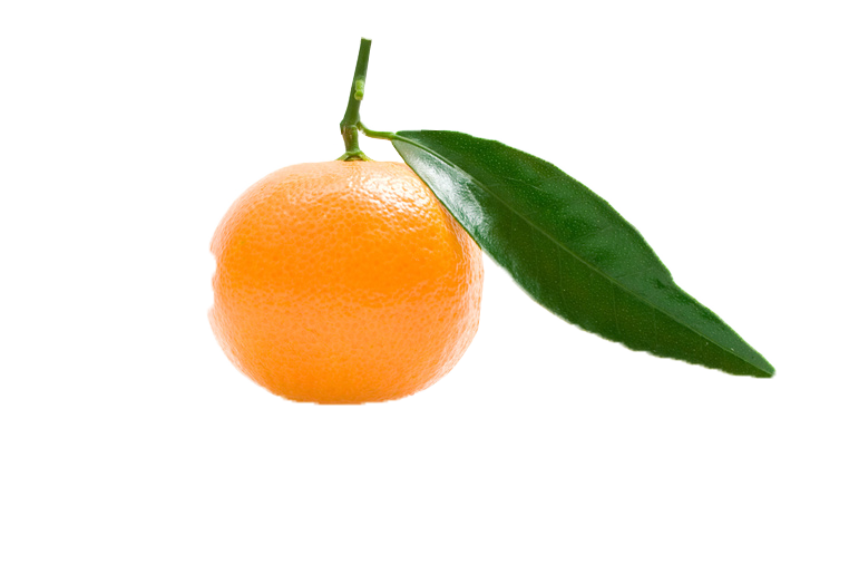 Citrus Fruit PNG Royalty-Free High-Quality