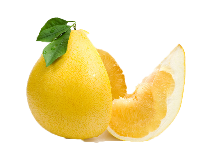 Common Citrus Fruit PNG Free Commercial Use Images