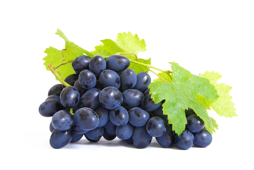 Grapes PNG Background