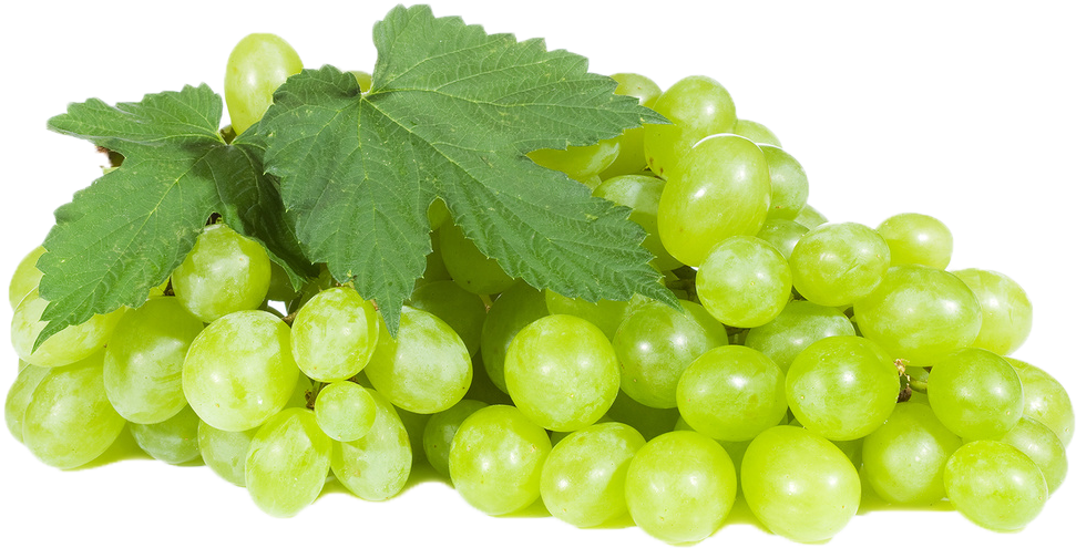 Grüne Trauben transparenter Hintergrund