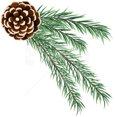 Holiday Pine Cone PNG Gambar Unduh Gratis