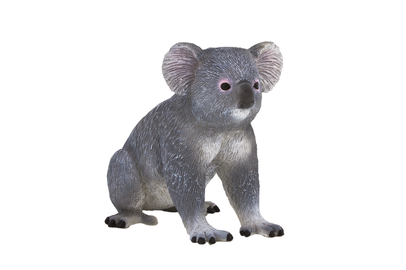 Koala PNG HD Качество