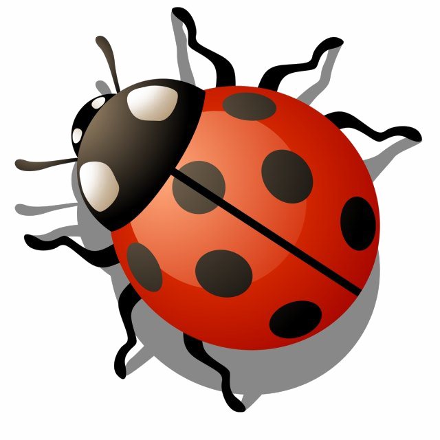 Ladybug gratis PNG