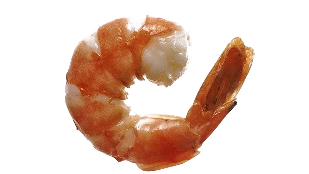 Ocean Shrimp Transparent Free PNG