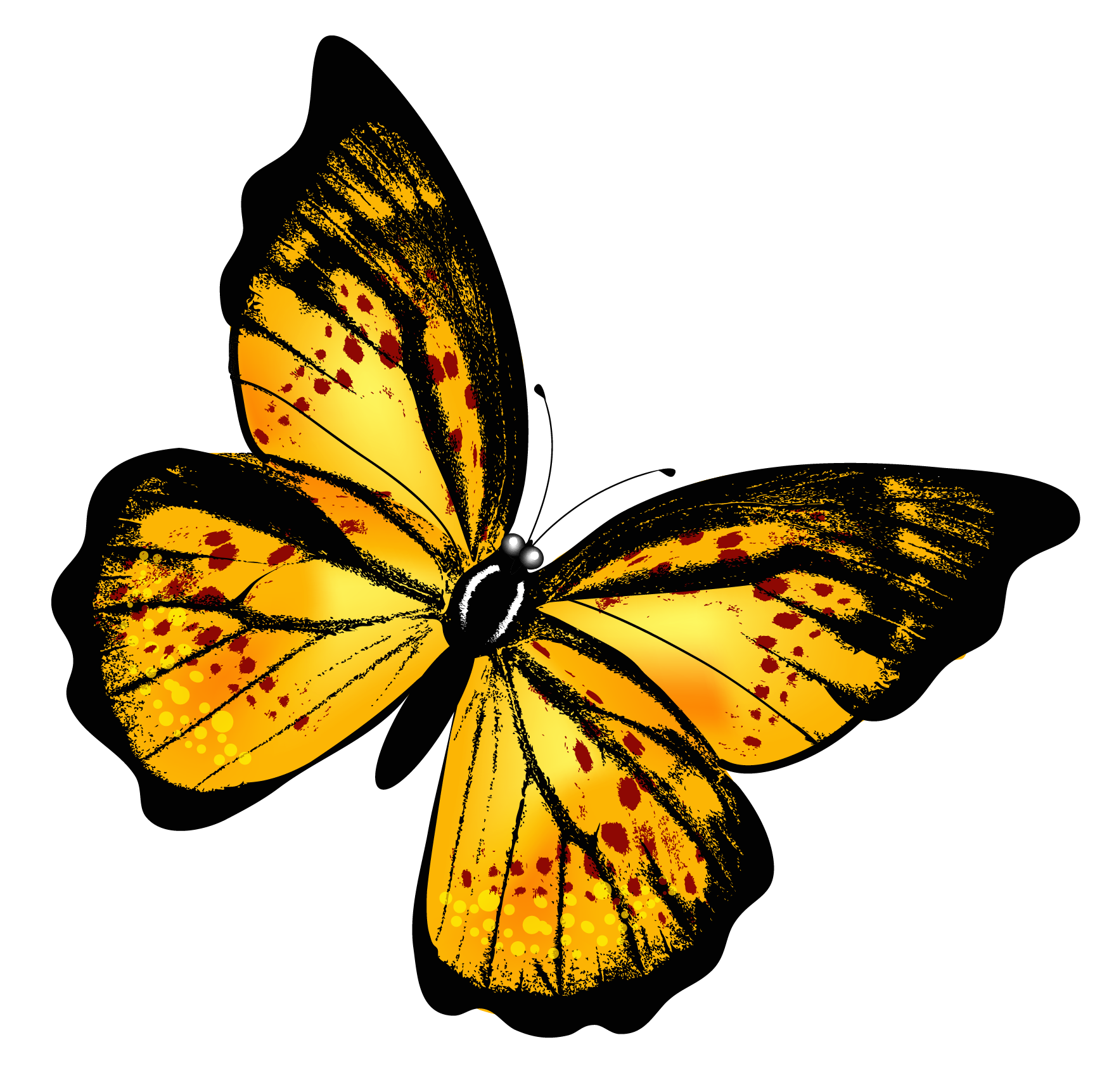 Orange Butterfly PNG Clipart Hintergrund