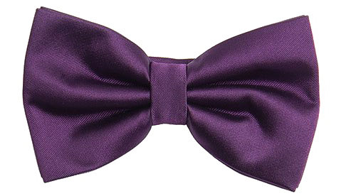 Purple Bow Fundo png imagem.
