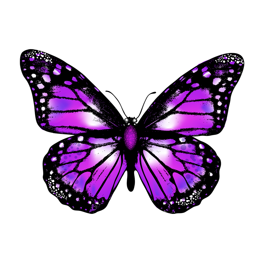 Download gratuito di immagine PNG a farfalla viola