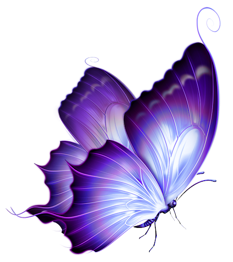 File trasparente PNG a farfalla viola