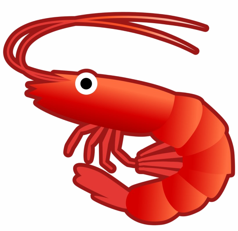 Shrimp Latar belakang PNG gambar