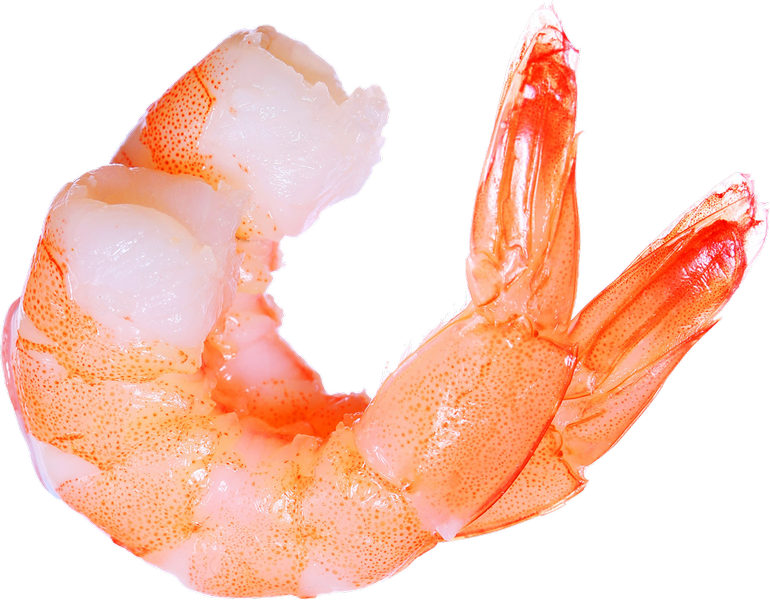 Unduh File Shrimp PNG Gratis