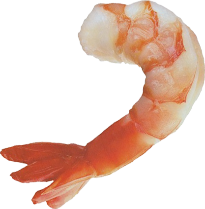 Shrimp PNG-Foto-Bild