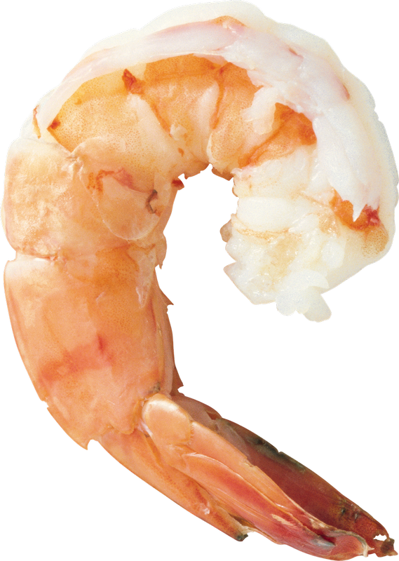 Shrimp PNG-Fotos