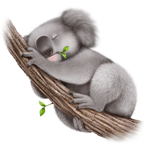 Sleeping Koala PNG HD Quality