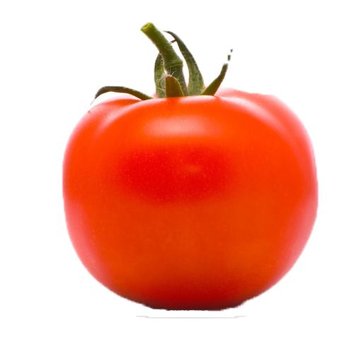 طماطم PNG مجانية صورة
