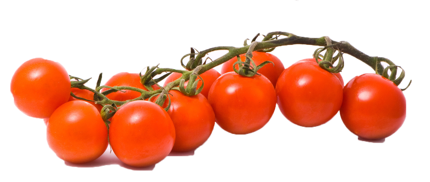 Tomaten-PNG Stockbilder