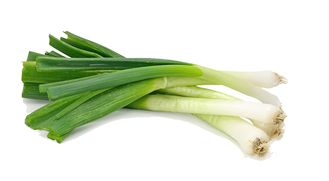 Gemüse Lauch PNG HD Qualität