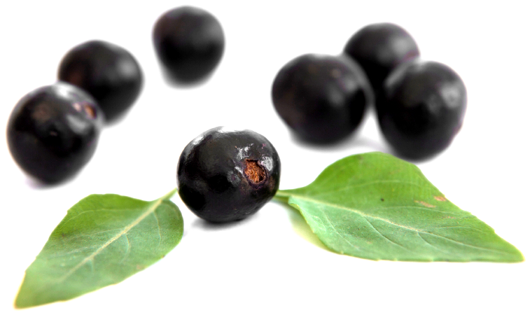 Acai Berry Background PNG Image