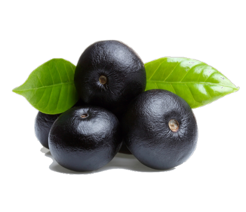 Acai Berry Download Free PNG