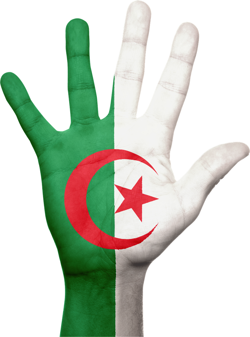 Algeria Flag PNG Free File Download