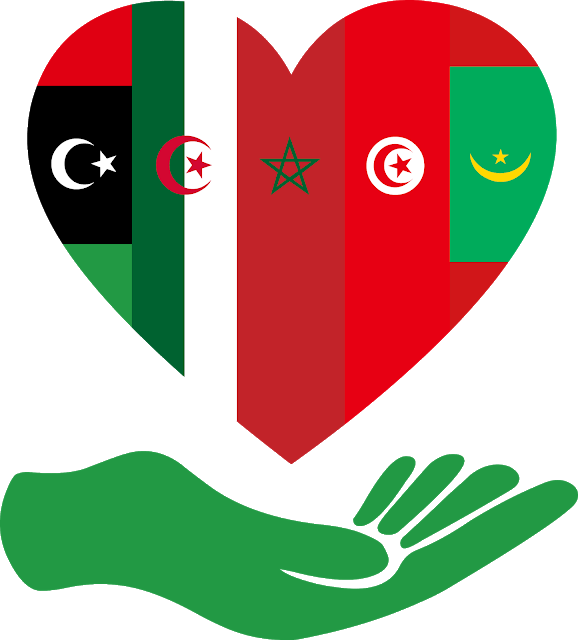 Algeria Flag PNG Photos