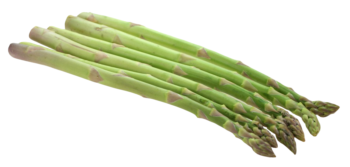 Asparagus Background PNG Image