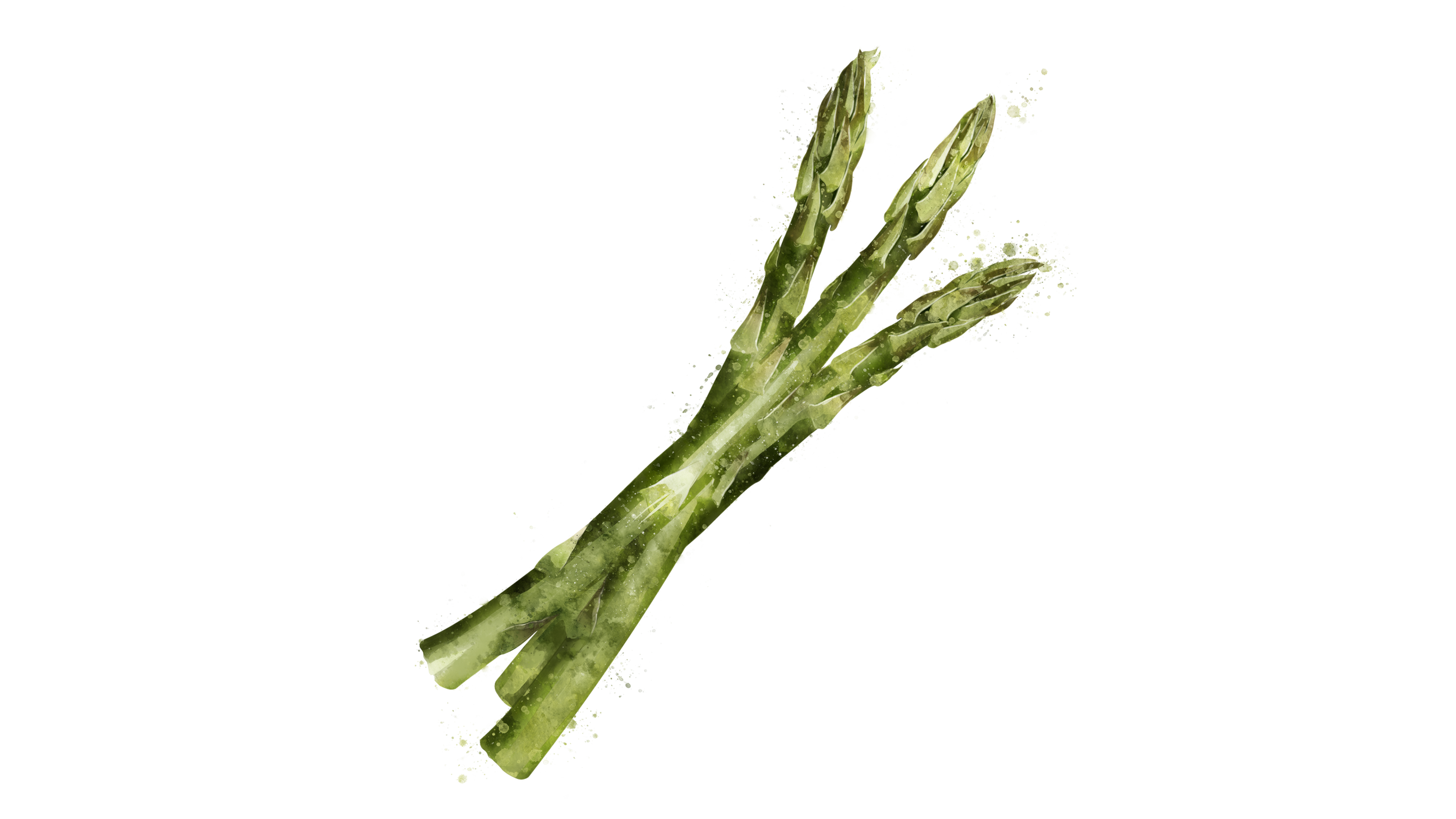 Asparagus Free PNG
