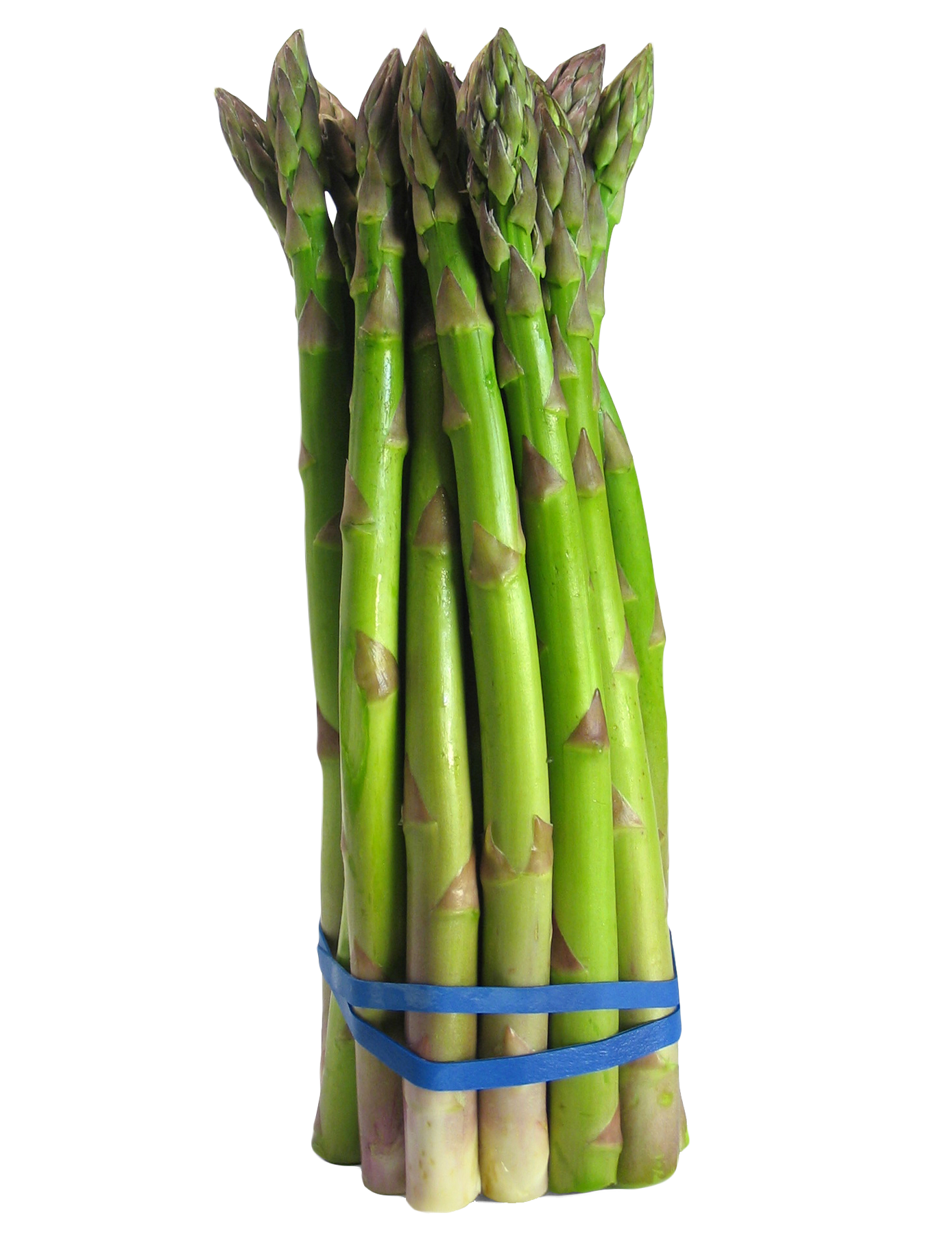 Asparagus Free Picture PNG