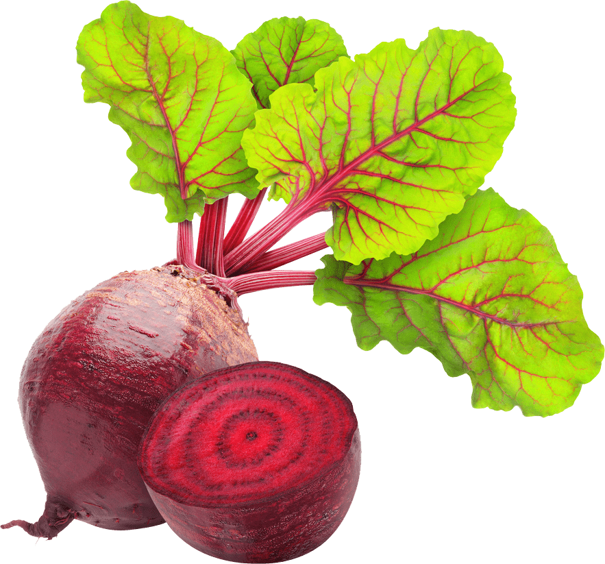 Beetroot PNG Clipart Background