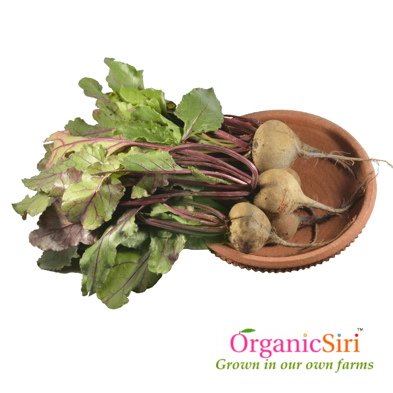 Beetroot PNG Photo Image