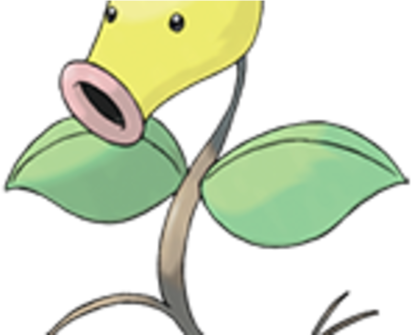 Bellsprout Pokemon Background PNG Image