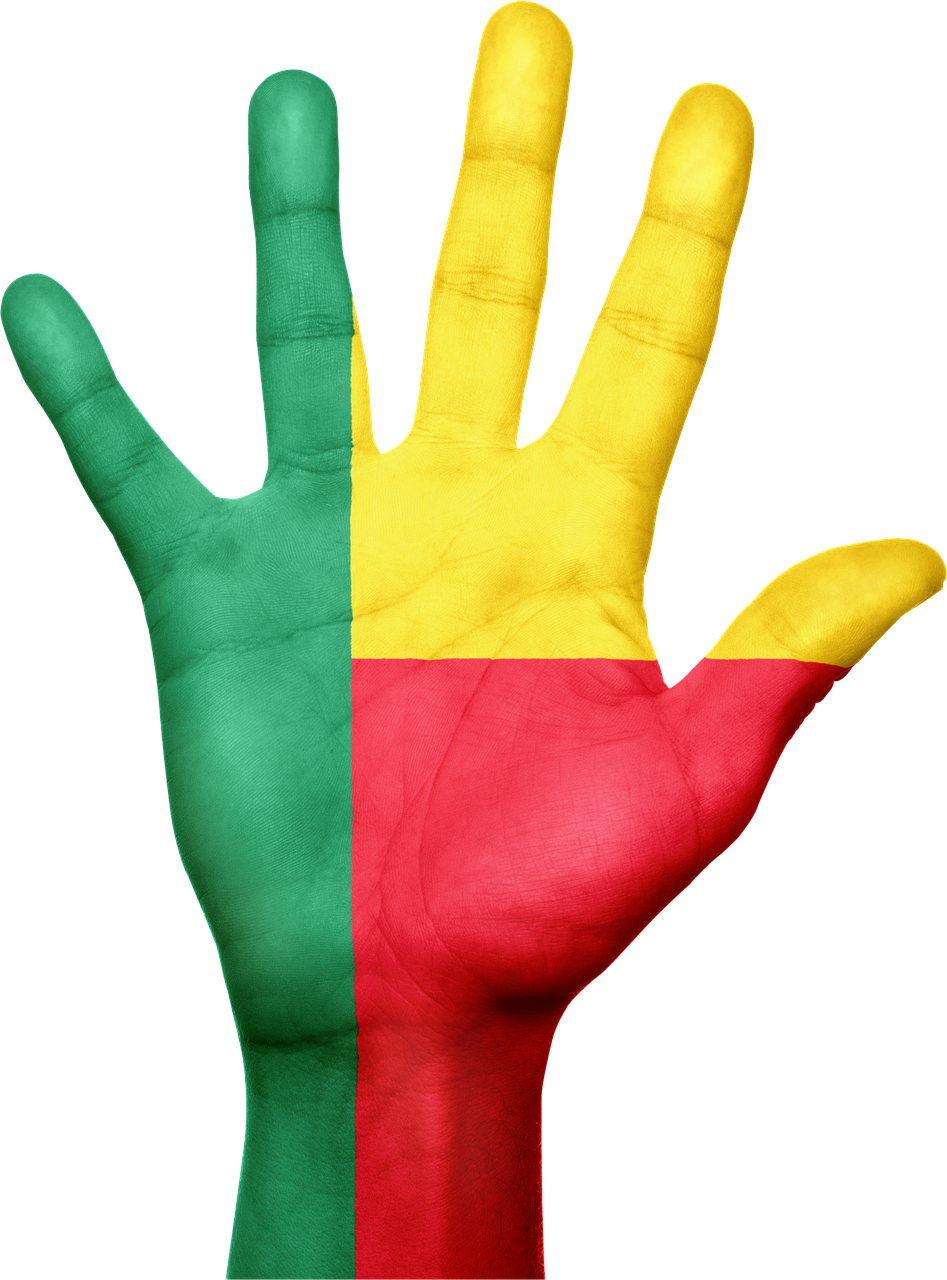 Benin Flag PNG Background
