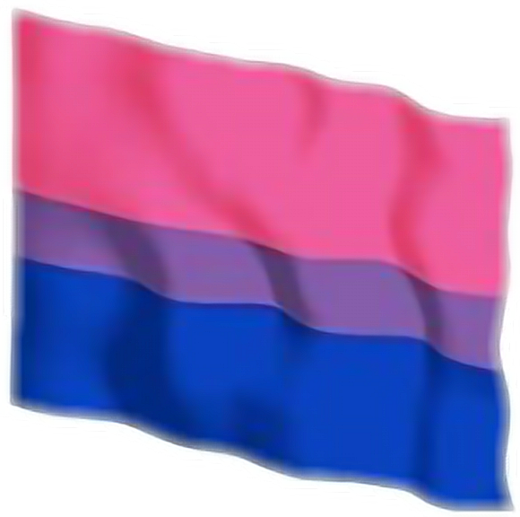 Bisexual Flag Transparent PNG