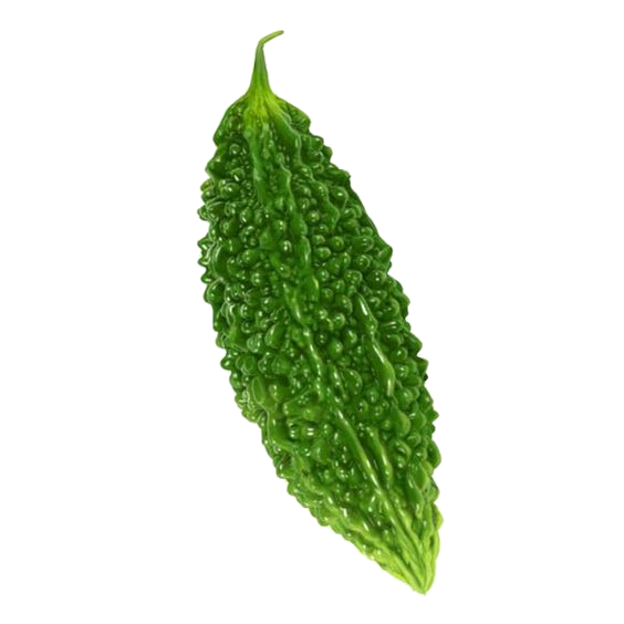 Bitter Gourd PNG Pic Background