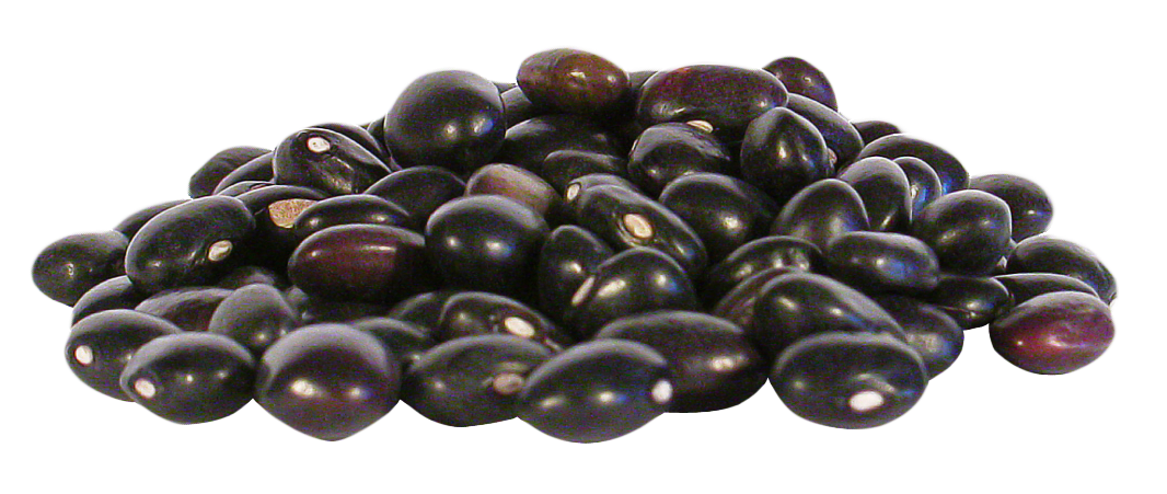Black Beans PNG Photos
