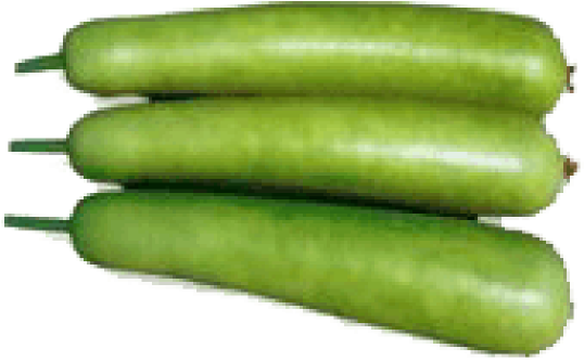 Bottle Gourd PNG HD Quality