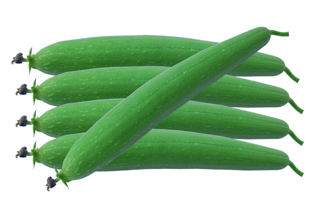 Bottle Gourd PNG Pic Background